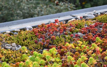 the cost of Birchington green roof installation