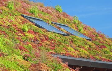 Birchington living roof systems